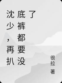 沈少,再扒底裤都要没了