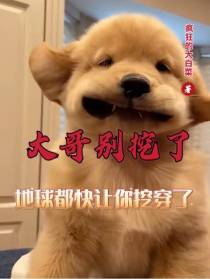大哥别挖了,地球都快让你挖穿了