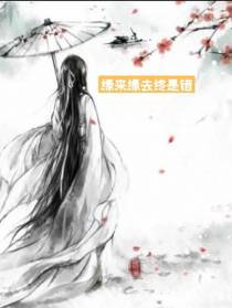 缘来缘去终是错