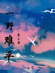 一野难平