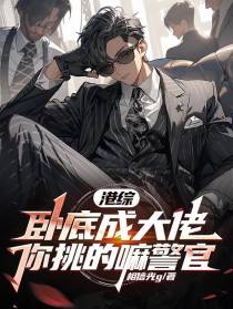 港综,卧底成大佬,你挑的嘛警官