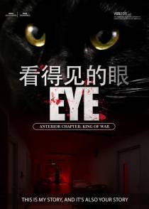 看得见的眼