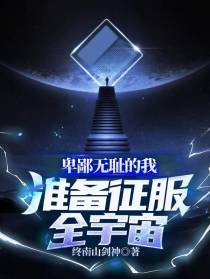 卑鄙无耻的我,准备征服全宇宙