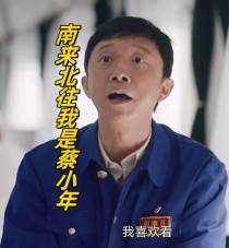 南来北往我是蔡小年
