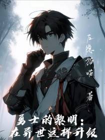 勇士的黎明：在异世这样升级