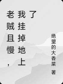 老贼且慢,我挂掉地上了