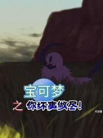 宝可梦之你坏事做尽！