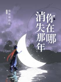 消失那年你在哪儿