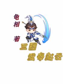三国：武帝赵云