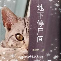 地下停尸间