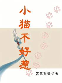 小猫不好惹
