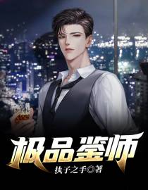 极品鉴师