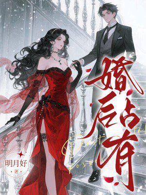 婚后占有