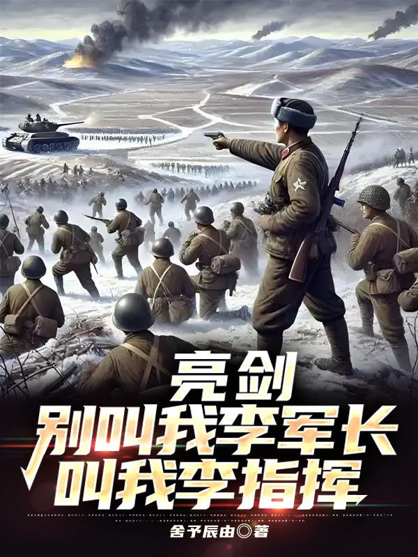 亮剑别叫我李军长叫我李指挥