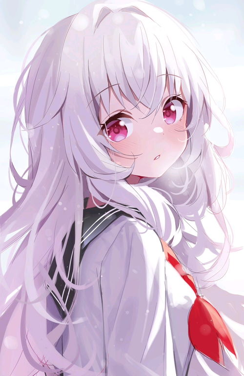 请烛