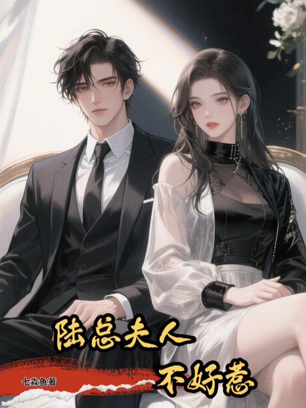 陆总夫人不好惹