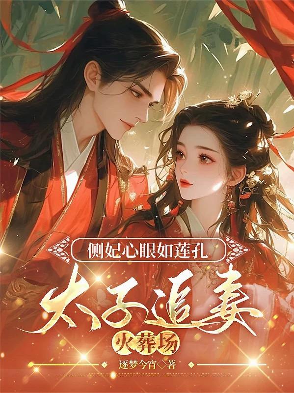 侧妃心眼如莲孔，太子追妻火葬场