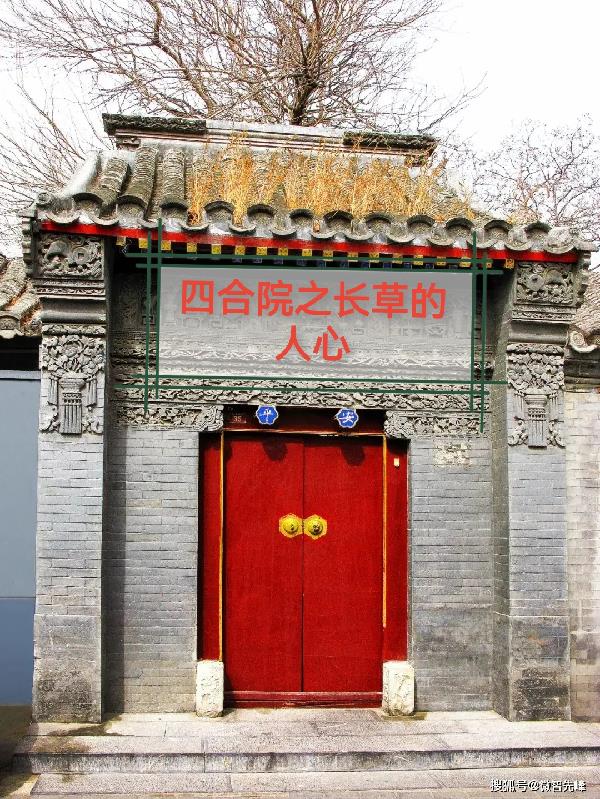 四合院之长草的人心